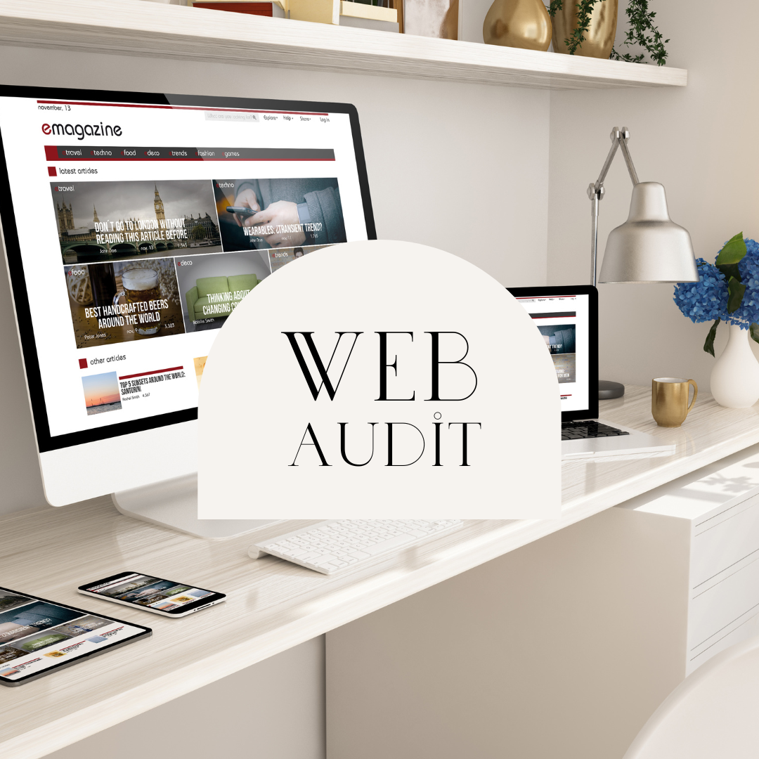 Web Audit